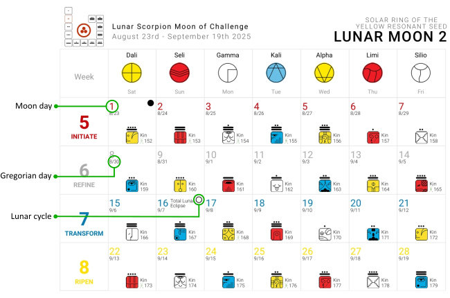 Synchronometer Example